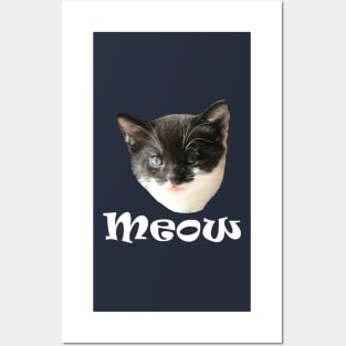 Funny Cute Cats Kittens Meow Posters and Art